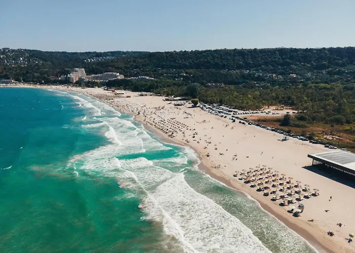 Asparuh Studio3 וארנה