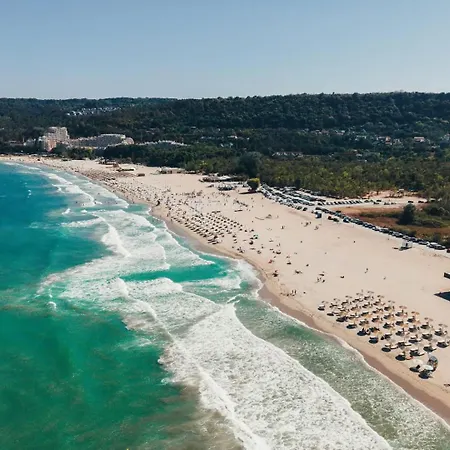 Asparuh Studio3 Varna